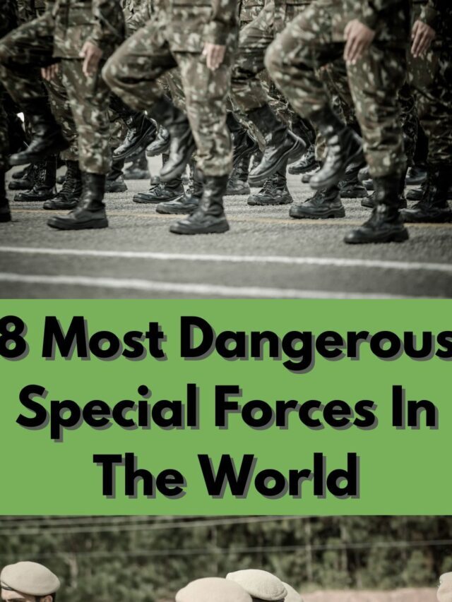 8 most dangerous special forces in the World