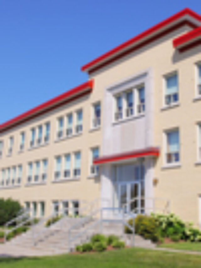 know about 10 famous schools of chhattisgarh !