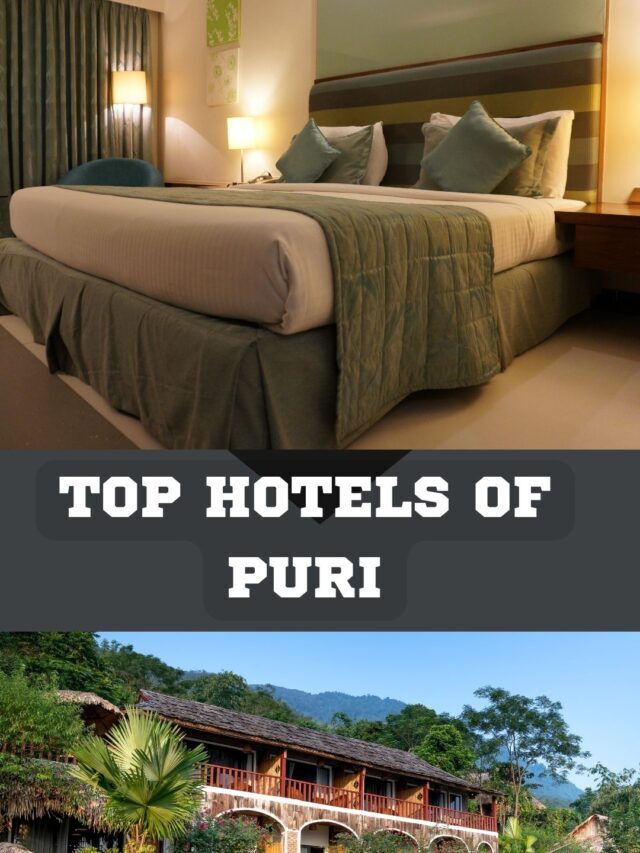 Top hotels of puri
