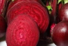 Beetroot Benefits