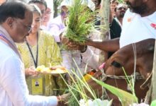 cmo chhattisgarh