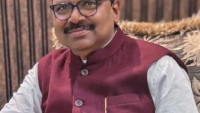 SDO निकोंसे